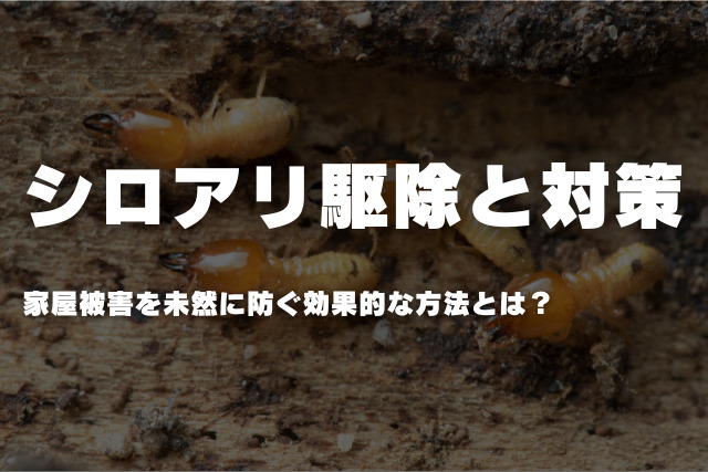 シロアリ駆除と対策｜家屋被害を未然に防ぐ効果的な方法とは？